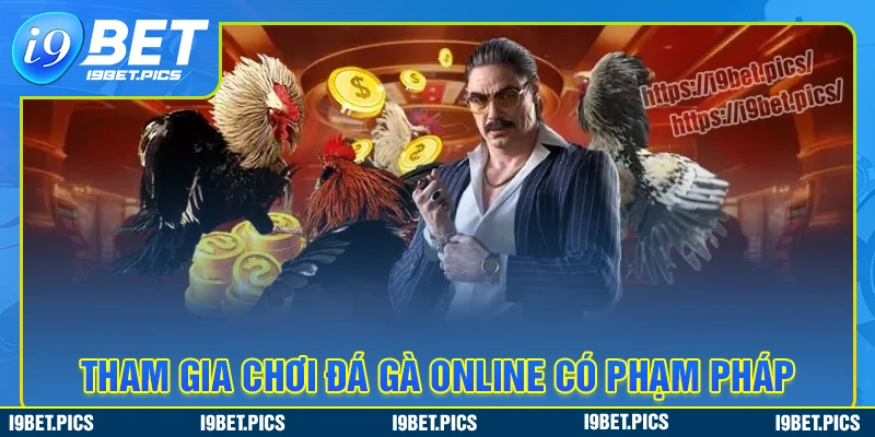 Đá gà online có phạm pháp & quy định xử lý pháp luật hiện nay