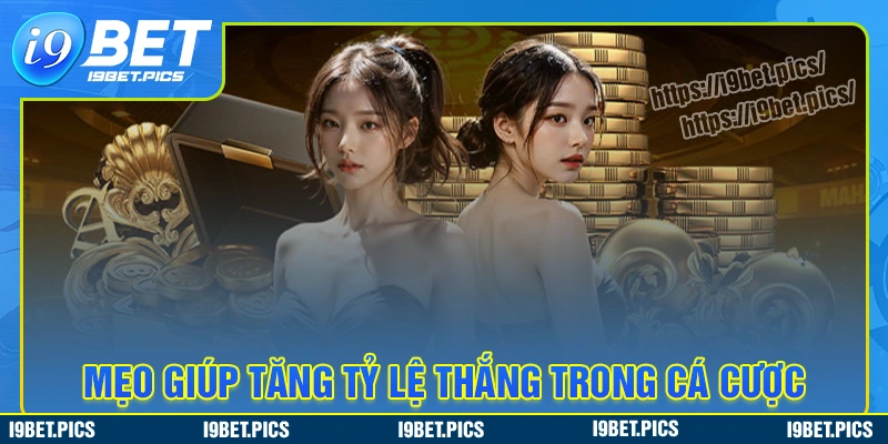 Tips tăng tỷ lệ thắng tại nhà cái mu88 cho người chơi mới