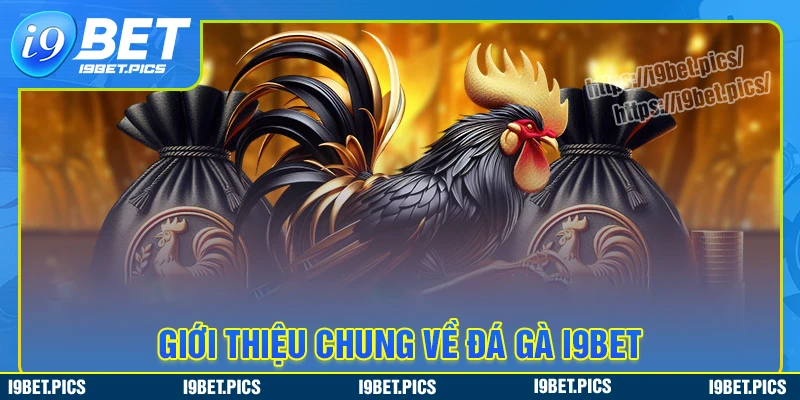 Tổng quan về sảnh cược đá gà i9bet